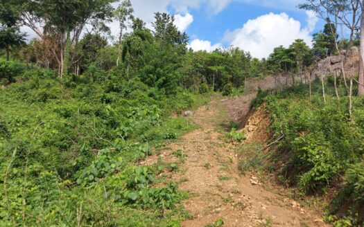 Nature, fresh air, and sweet mangos! Build your dream getaway in scenic San Antonio, Guimaras.