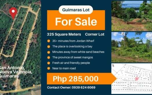 Nature, fresh air, and sweet mangos! Build your dream getaway in scenic San Antonio, Guimaras.