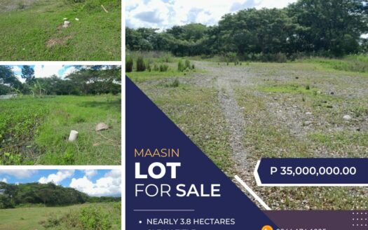 Residential Lot for Sale – Brgy. Mandog, Maasin, Iloilo