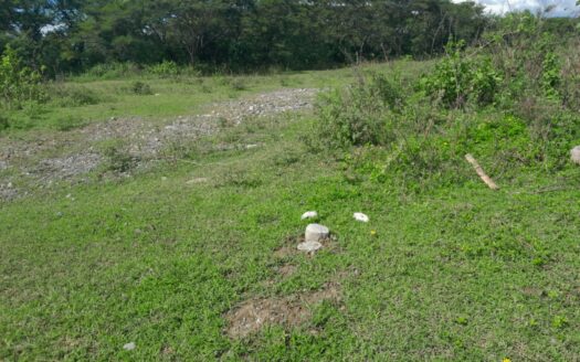 Residential Lot for Sale – Brgy. Mandog, Maasin, Iloilo