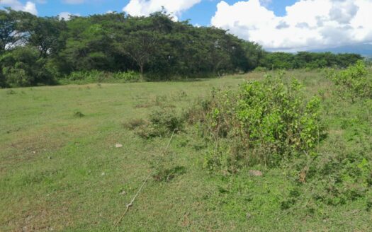 Residential Lot for Sale – Brgy. Mandog, Maasin, Iloilo